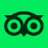 tripadvisor